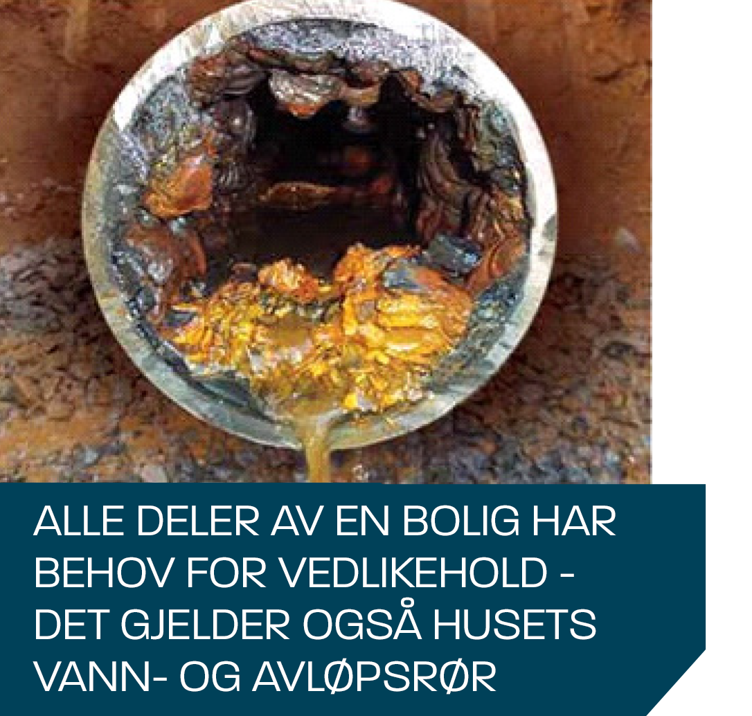 Ror-gammelt